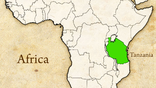 africa_map-tanzania